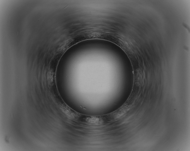 X0000091900230200709121505