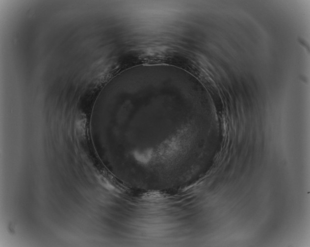 X0000091900231200709121505