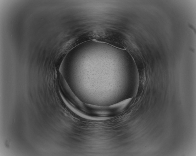 X0000091900233200709121505