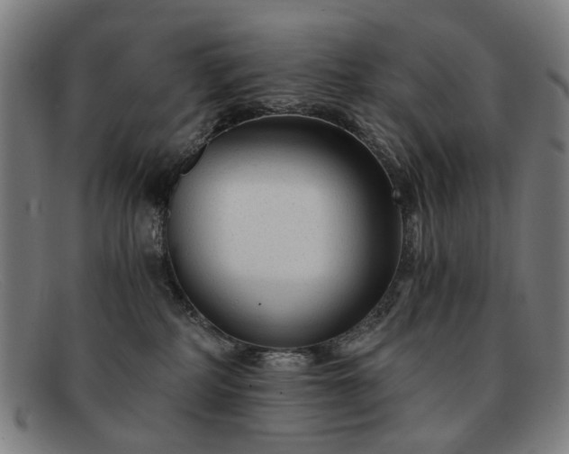 X0000091900234200709121505