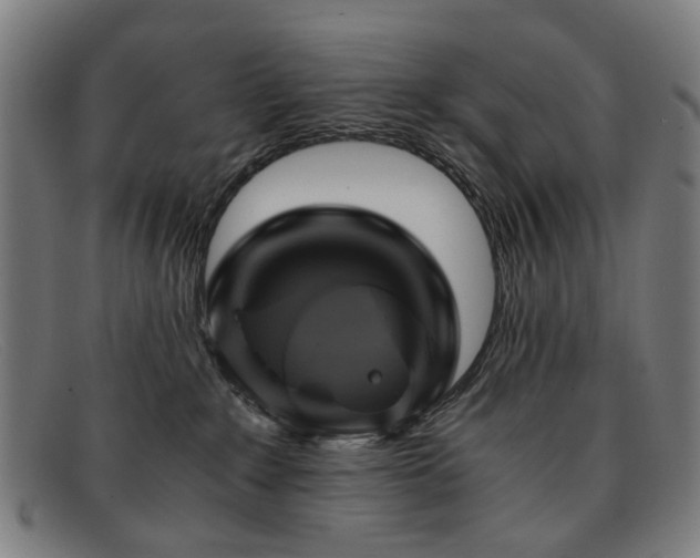 X0000091900235200709121505