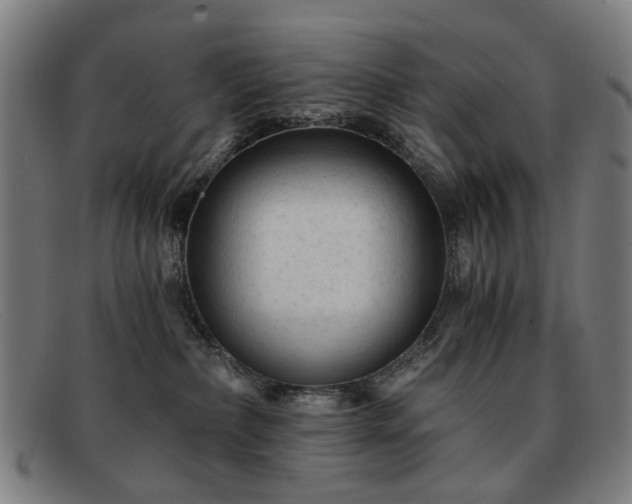 X0000091900236200709121504