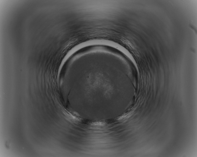 X0000091900237200709121504