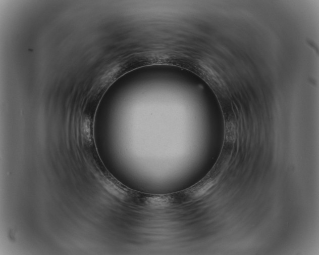 X0000091900238200709121504