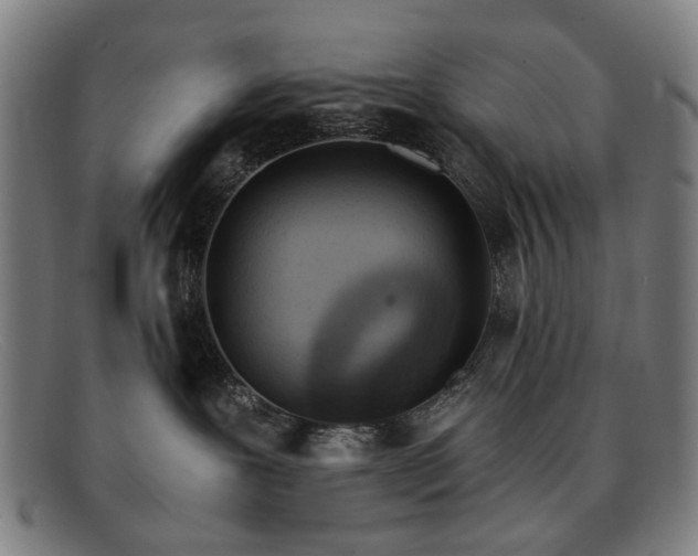 X0000091900239200709121504