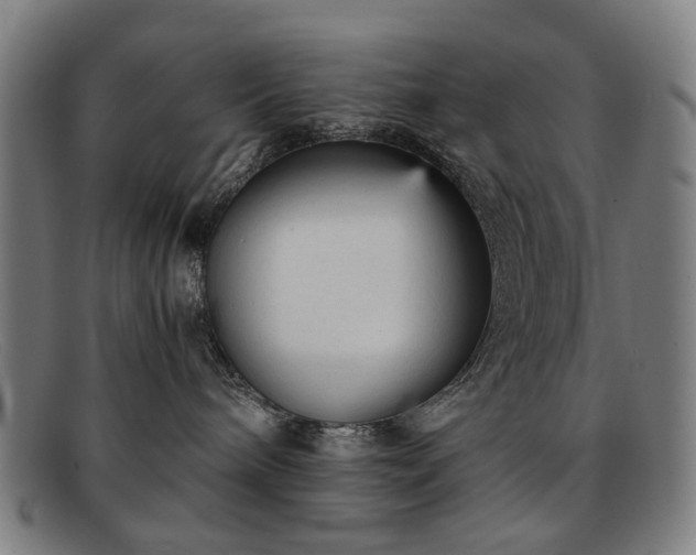 X0000091900240200709121504