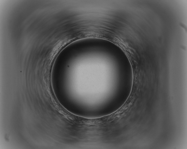 X0000091900241200709121504