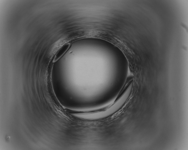 X0000091900242200709121504