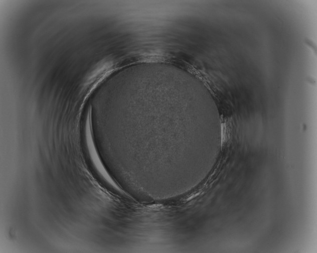 X0000091900243200709121504