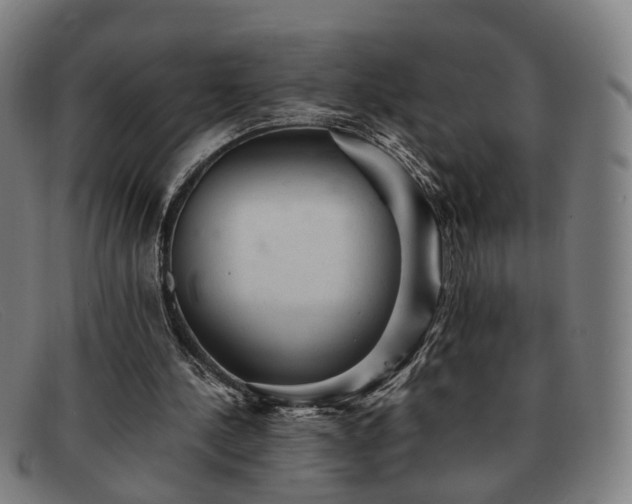 X0000091900244200709121504