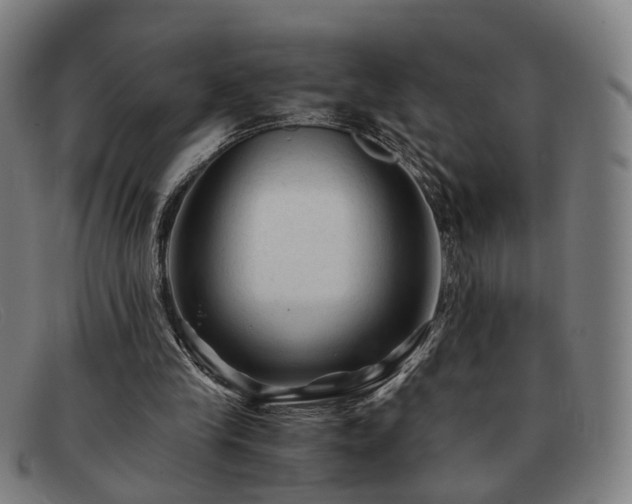 X0000091900245200709121504