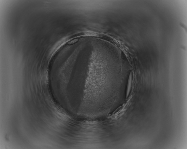 X0000091900247200709121504