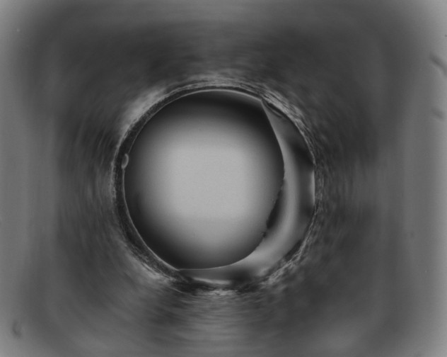 X0000091900248200709121504