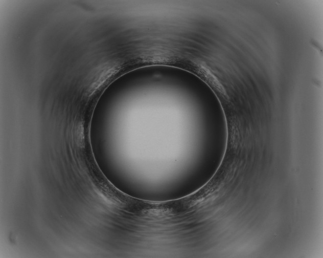 X0000091900251200709121504