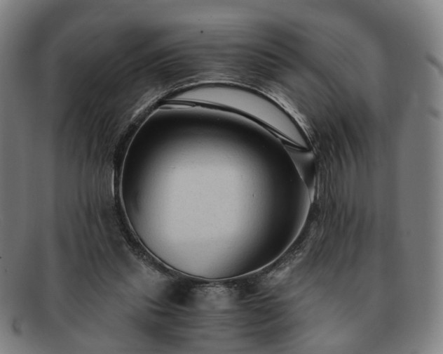 X0000091900253200709121504