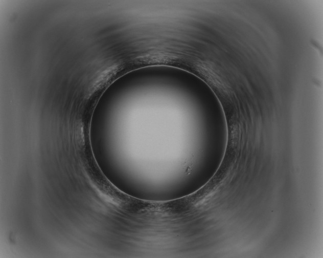 X0000091900254200709121504