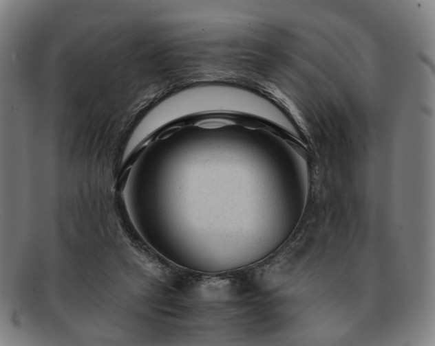 X0000091900257200709121504