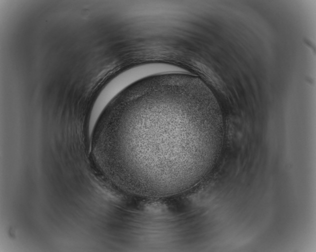 X0000091900258200709121504