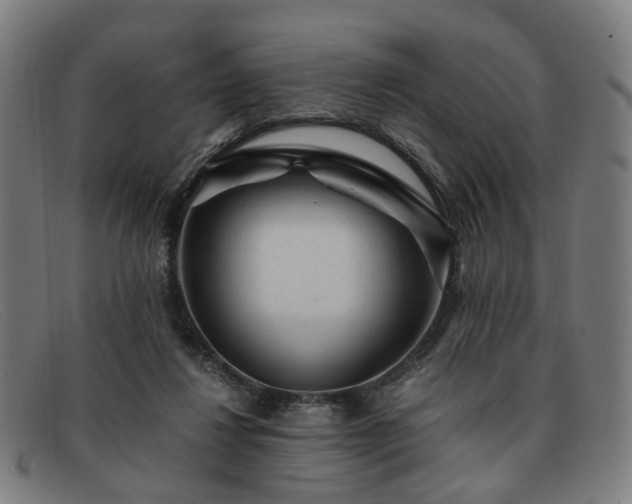 X0000091900260200709121504