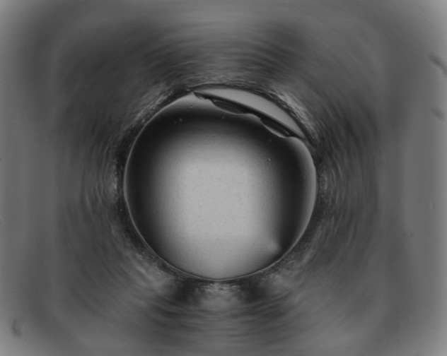 X0000091900261200709121504