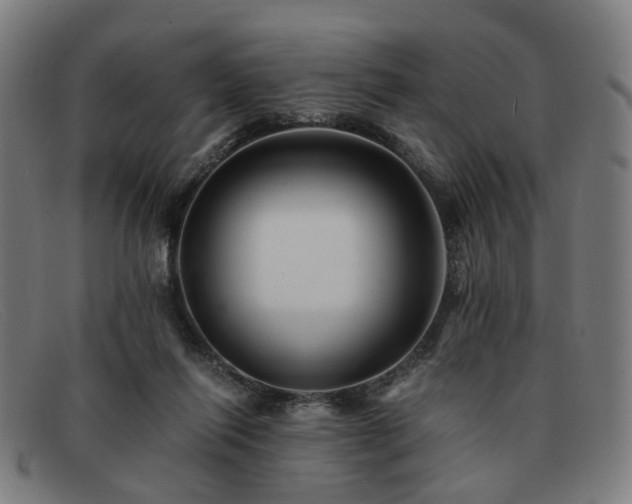 X0000091900262200709121504