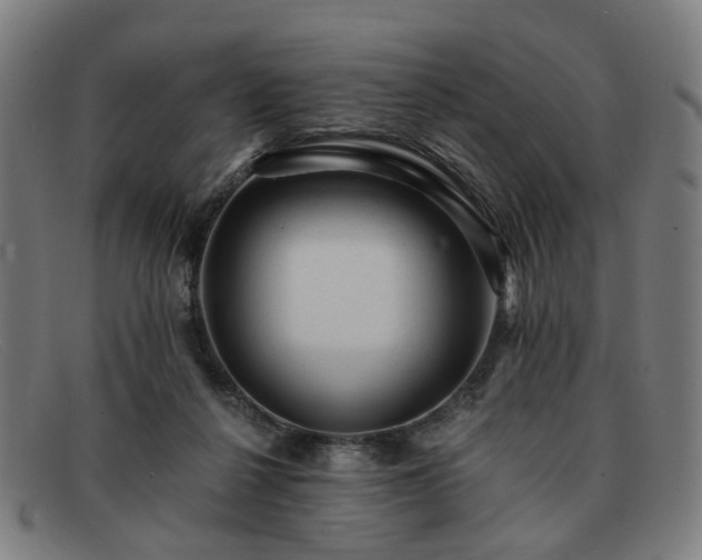 X0000091900264200709121504