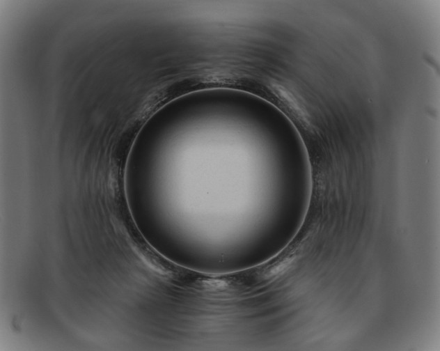 X0000091900265200709121504