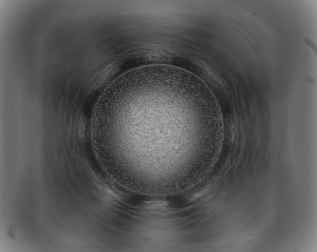 X0000091900266200709121504