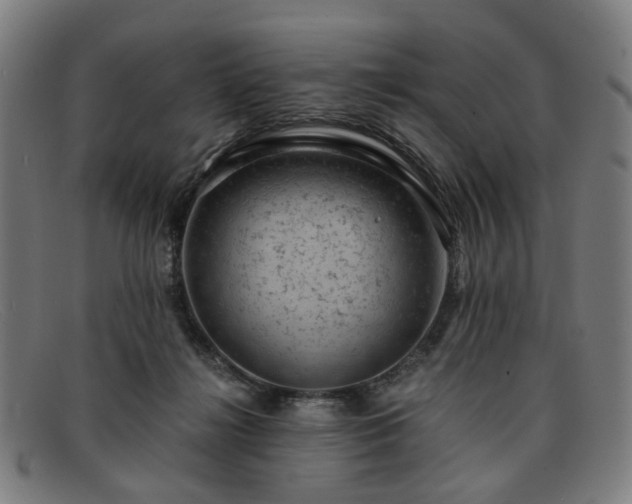 X0000091900268200709121504