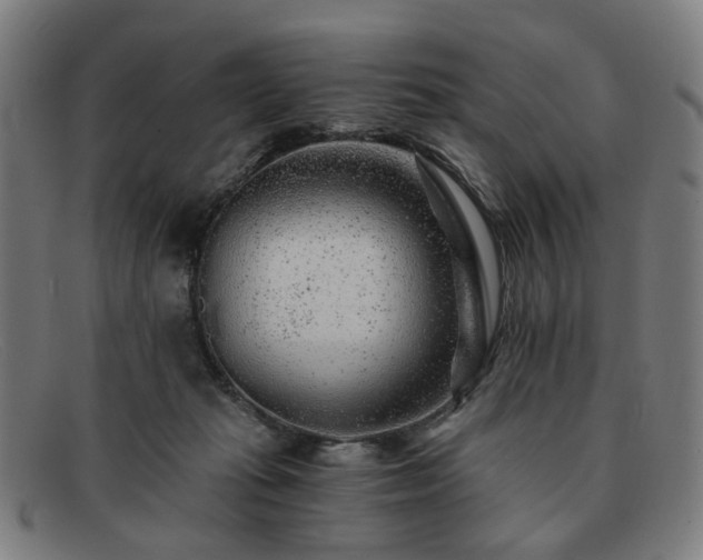 X0000091900269200709121504