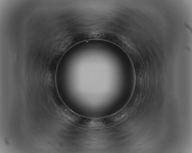 X0000091900270200709121504