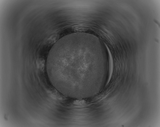 X0000091900271200709121504