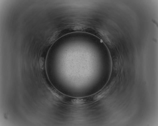 X0000091900273200709121504