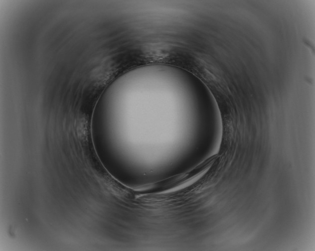 X0000091900274200709121504