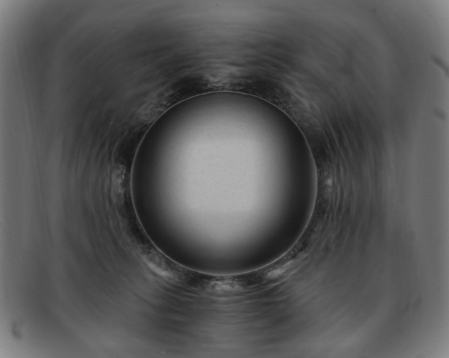 X0000091900275200709121504