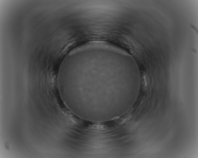 X0000091900276200709121504