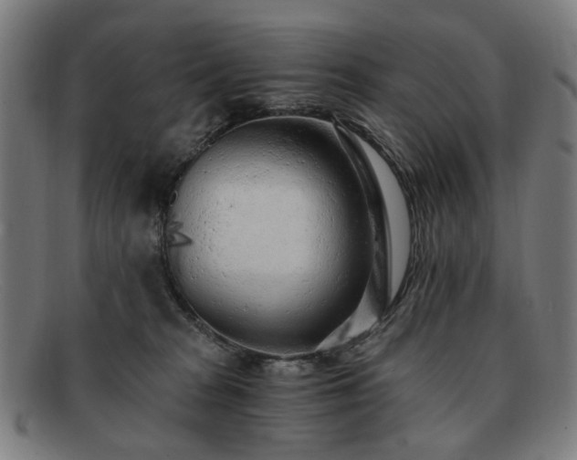 X0000091900277200709121504