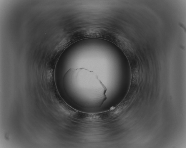 X0000091900278200709121504