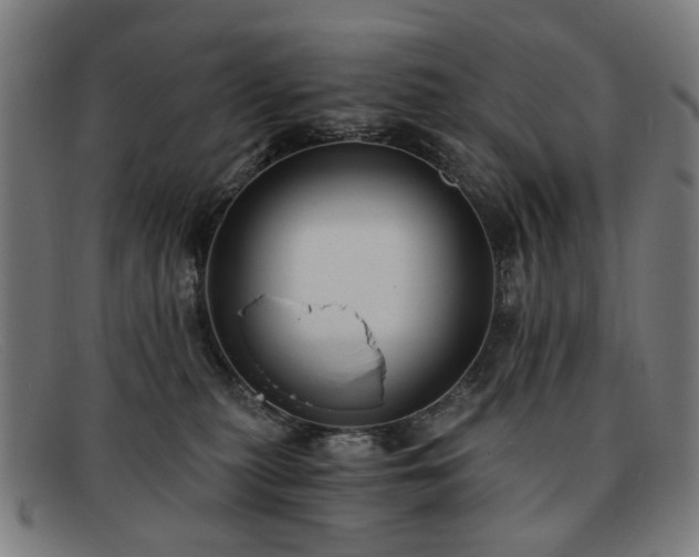 X0000091900279200709121504