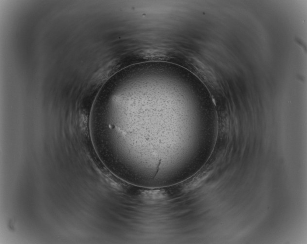 X0000091900281200709121504