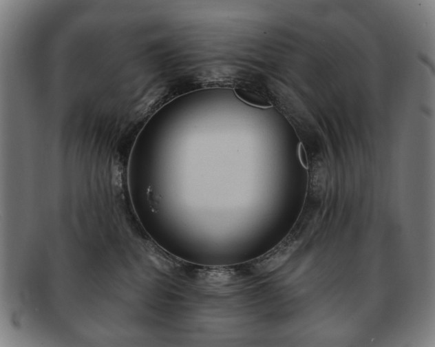 X0000091900282200709121504