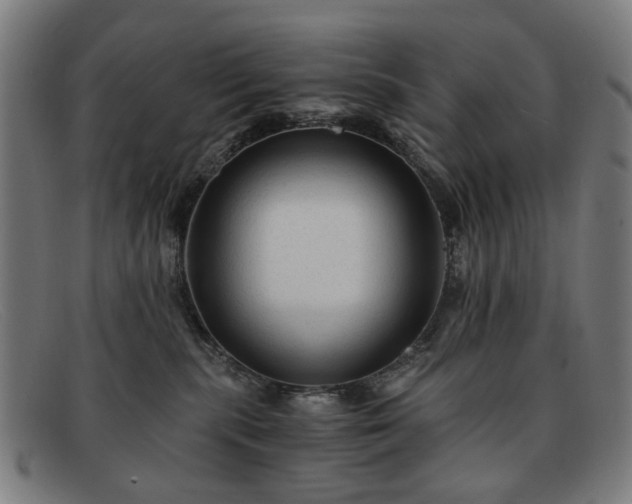 X0000091900283200709121504