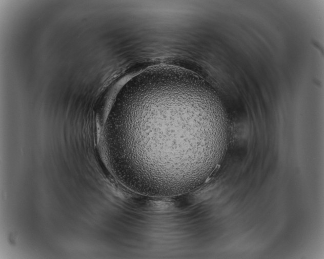 X0000091900286200709121504