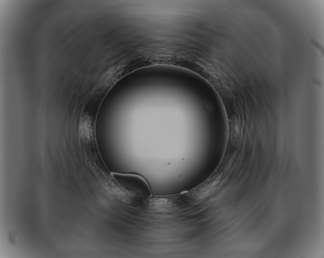 X0000091900287200709121504