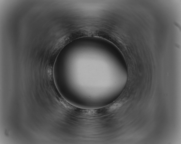 X0000091900288200709121504