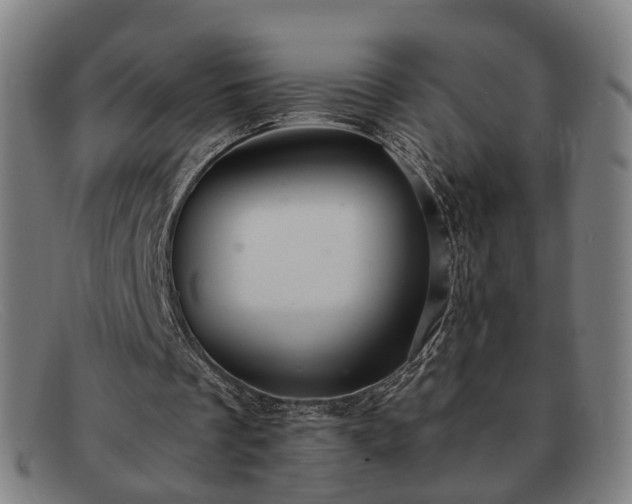 X0000091900289200709121504