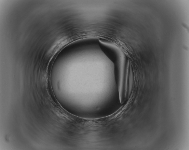 X0000091900290200709121504