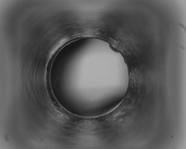 X0000091900292200709121504