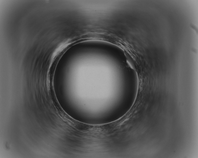 X0000091900294200709121504