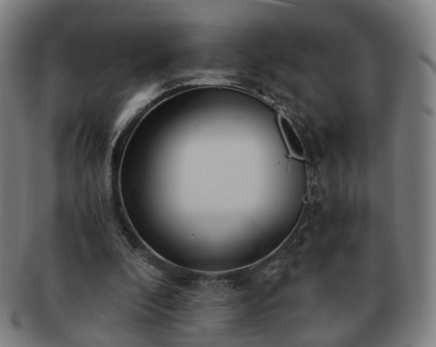 X0000091900296200709121504